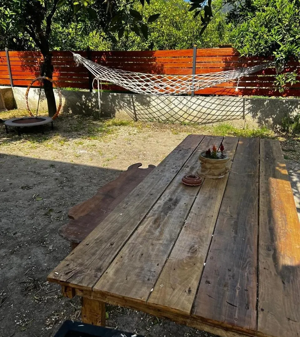 Case de vacanță House In Citrus Garden Relaxation In The Arms Of Nature! Ortaca