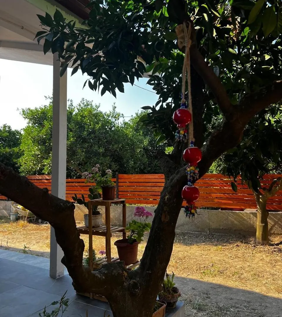 House In Citrus Garden Relaxation In The Arms Of Nature! Ortaca  Turcia